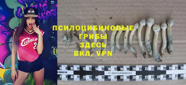МДПВ Белокуриха
