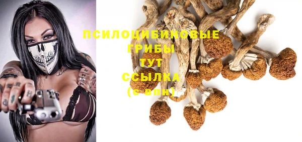 бошки Беломорск