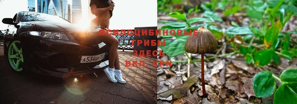 МДПВ Белокуриха