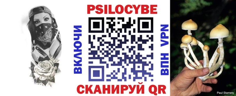 Псилоцибиновые грибы мухоморы  цены   Макаров 